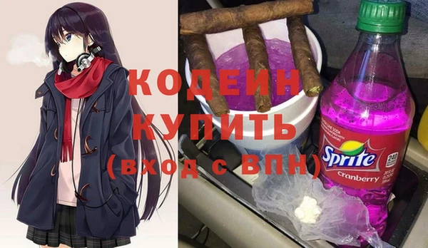 дживик Бронницы