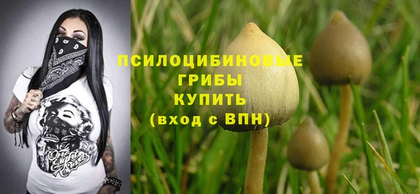 MDMA Бородино