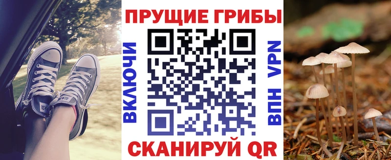 Галлюциногенные грибы Psilocybine cubensis Киренск